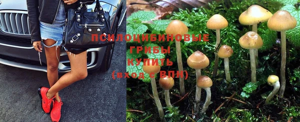 мдпв Нягань