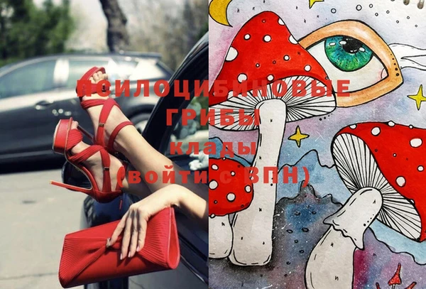 дмт Абинск