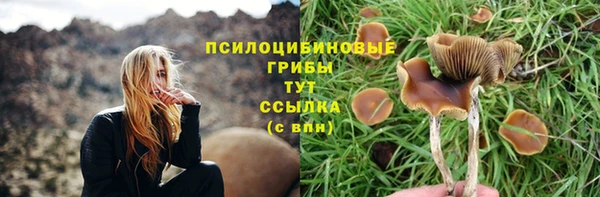 дмт Абинск