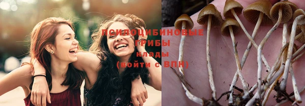бошки Абдулино