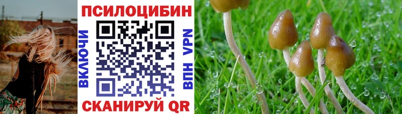 Галлюциногенные грибы ЛСД  Яранск 